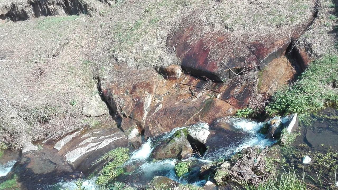 Quinta De Alvarenga Exteriér fotografie